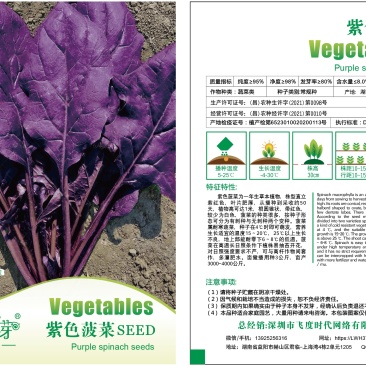 炫紫特色紫色菠菜种子紫叶波斯菜赤红根菜鹦鹉菜菠耸