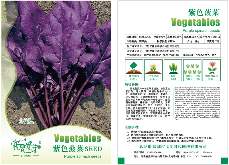 炫紫特色紫色菠菜种子紫叶波斯菜赤红根菜鹦鹉菜菠耸