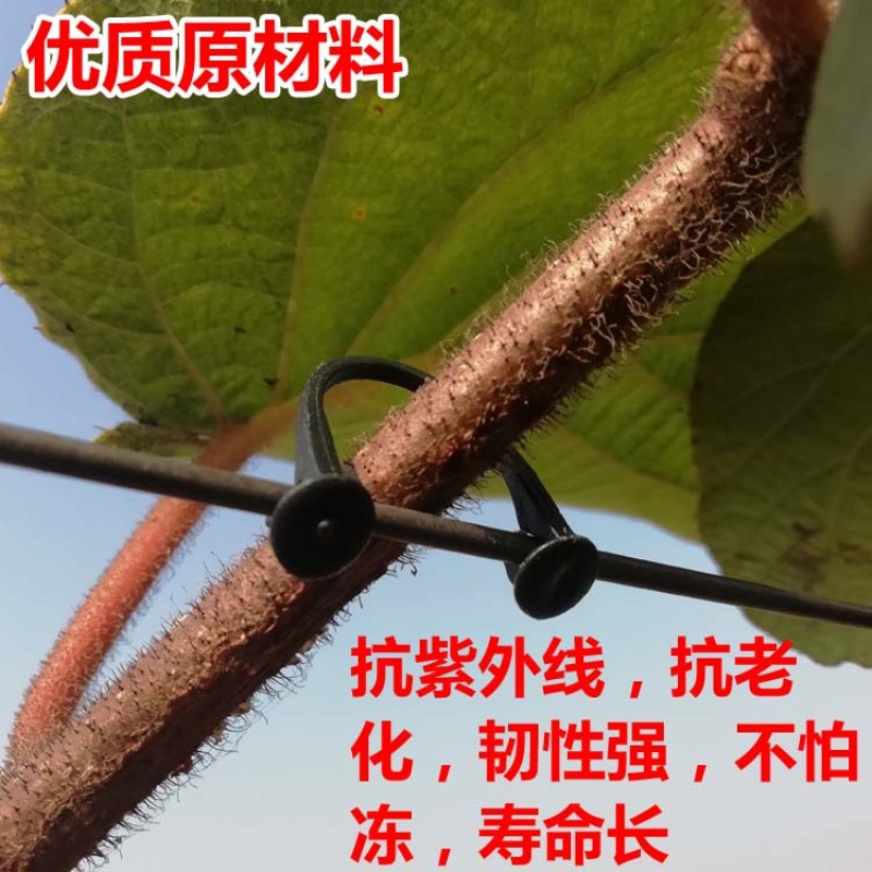 10厘米长绑枝卡绑蔓卡绑枝卡扣塑料卡扣枝条卡子