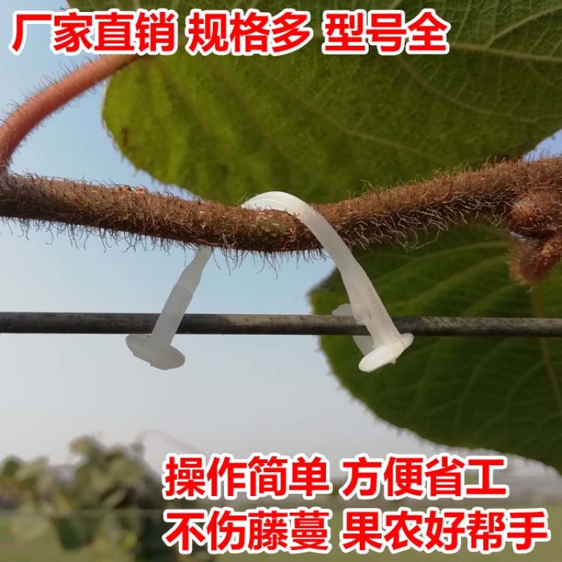 15厘米长绑枝卡扣塑料卡子绑蔓卡子枝条卡子葡萄枝条卡扣