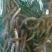 【苗场直发】泥鳅苗泥鳅水花苗泥鳅寸苗量大从优