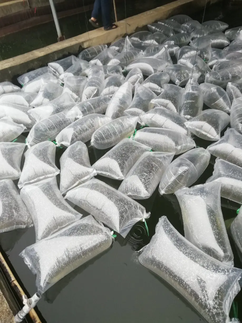 鳜鱼苗，桂鱼苗，饵料鱼出售桂鱼苗质量保证产地直供