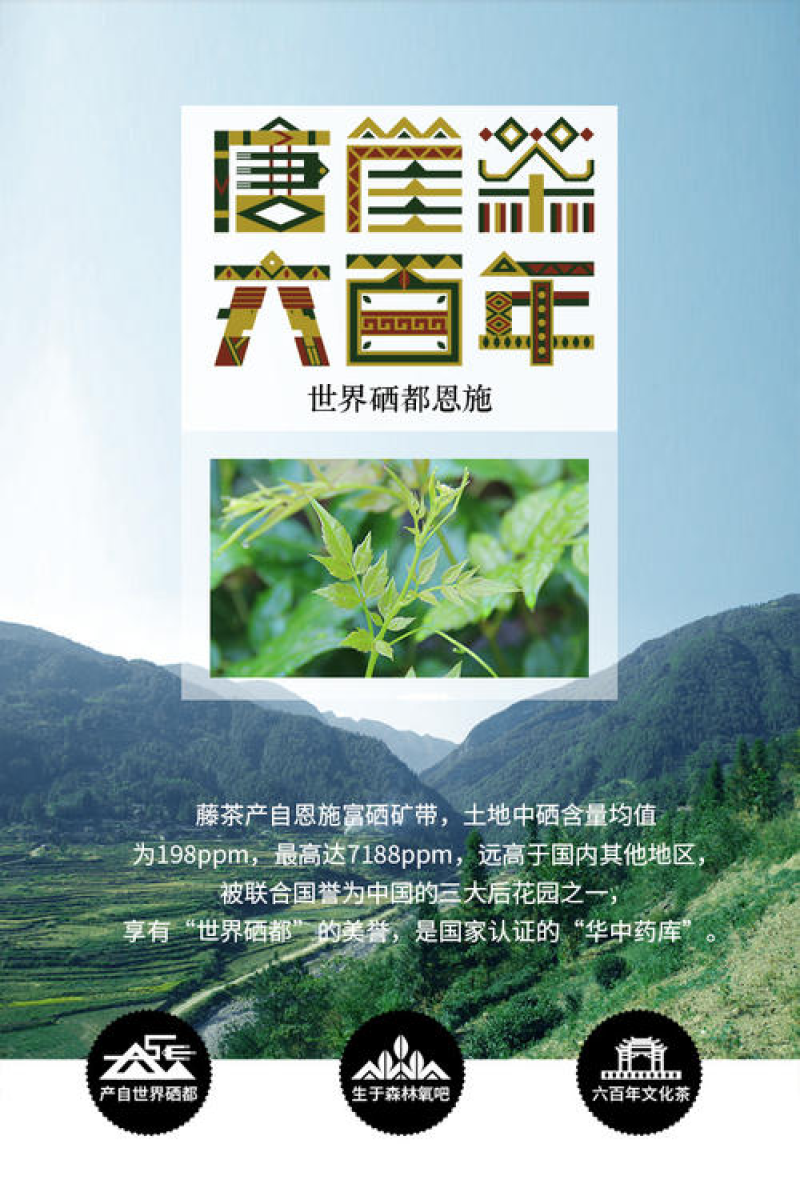 【精品】恩施富硒野生藤茶（龙须）珍硒好茶保质保量