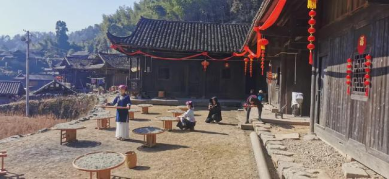 【精品】恩施富硒野生藤茶（龙须）珍硒好茶保质保量