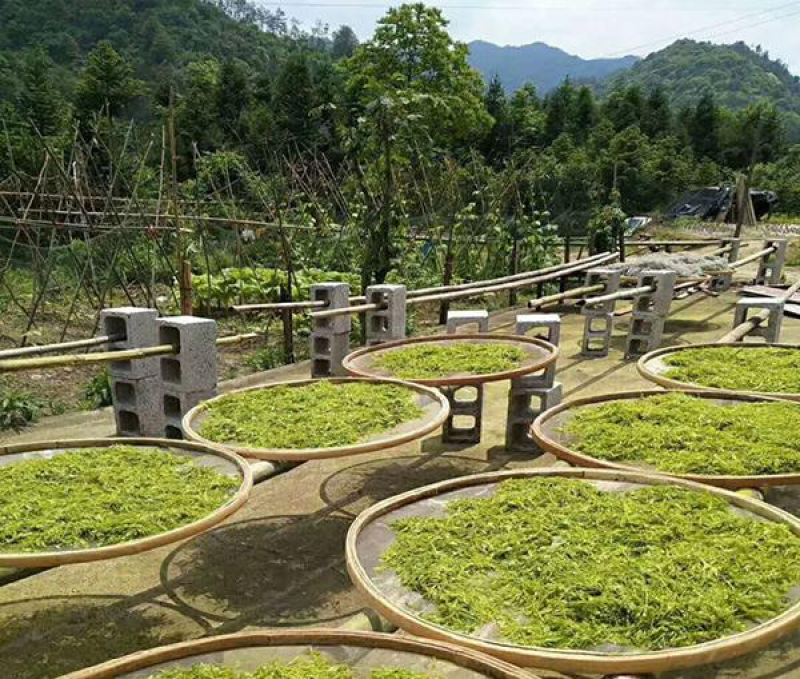 【精品】恩施富硒野生藤茶（龙须）珍硒好茶保质保量