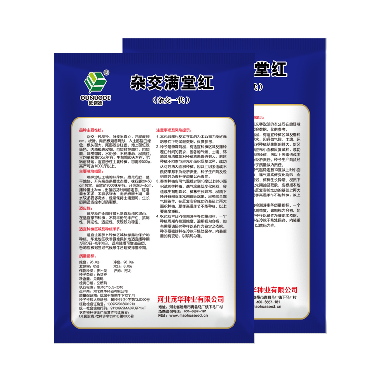 中科茂华蔬菜种子杂交满堂红心里美萝卜种子绿皮红芯