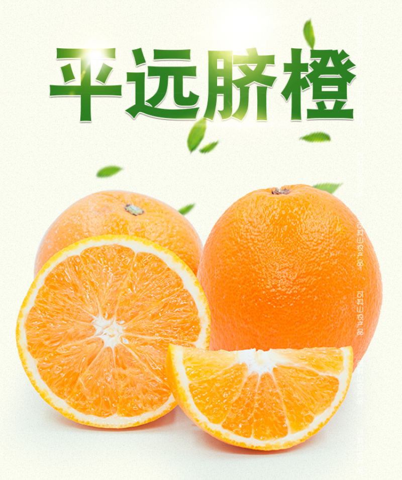 平远脐橙5斤装