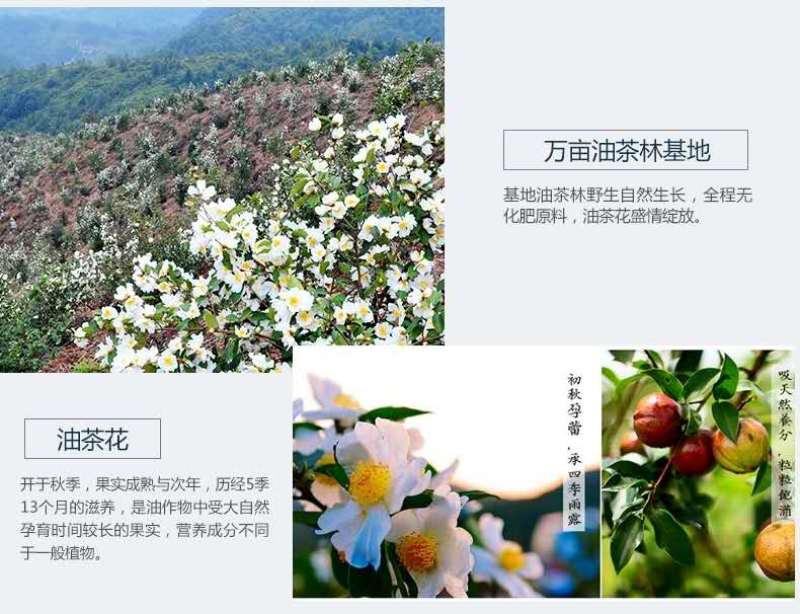 平远特产曼佗神露食用植物调和油2L葵花籽物理压榨高山茶油