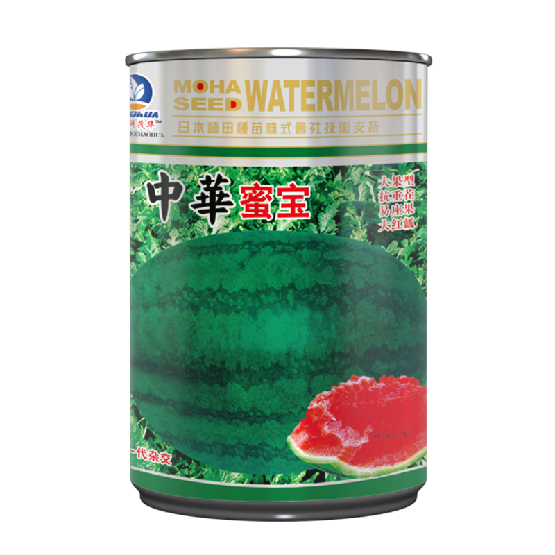 中科茂华西瓜种子中华蜜宝免整枝打叉懒汉西瓜种籽四季阳台