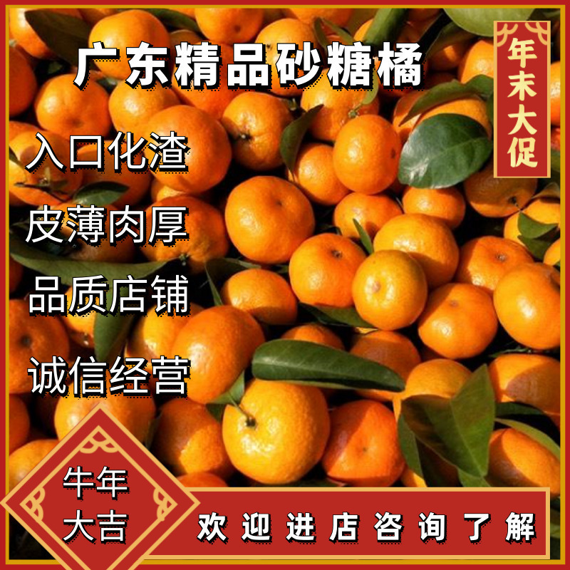 【新春特惠】精品柑橘广东砂糖橘甜蜜多汁入口化渣新鲜采摘