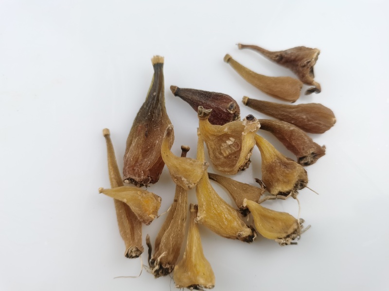 冰球子干品贵州中药材山慈菇毛慈菇新鲜干货