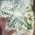 【牛商】新鲜青梗菜花散花菜蔬菜甘蓝现摘现发品质好有机花菜