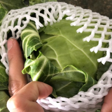【牛商推荐】新鲜绿甘蓝青甘蓝包白菜大包菜包心菜直销直发