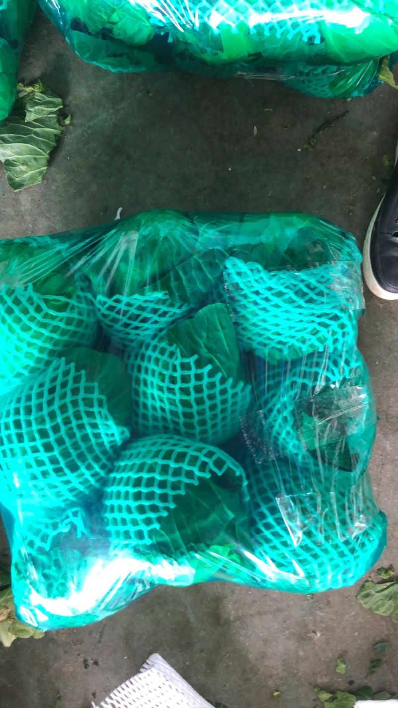 【牛商推荐】新鲜绿甘蓝青甘蓝包白菜大包菜包心菜直销直发