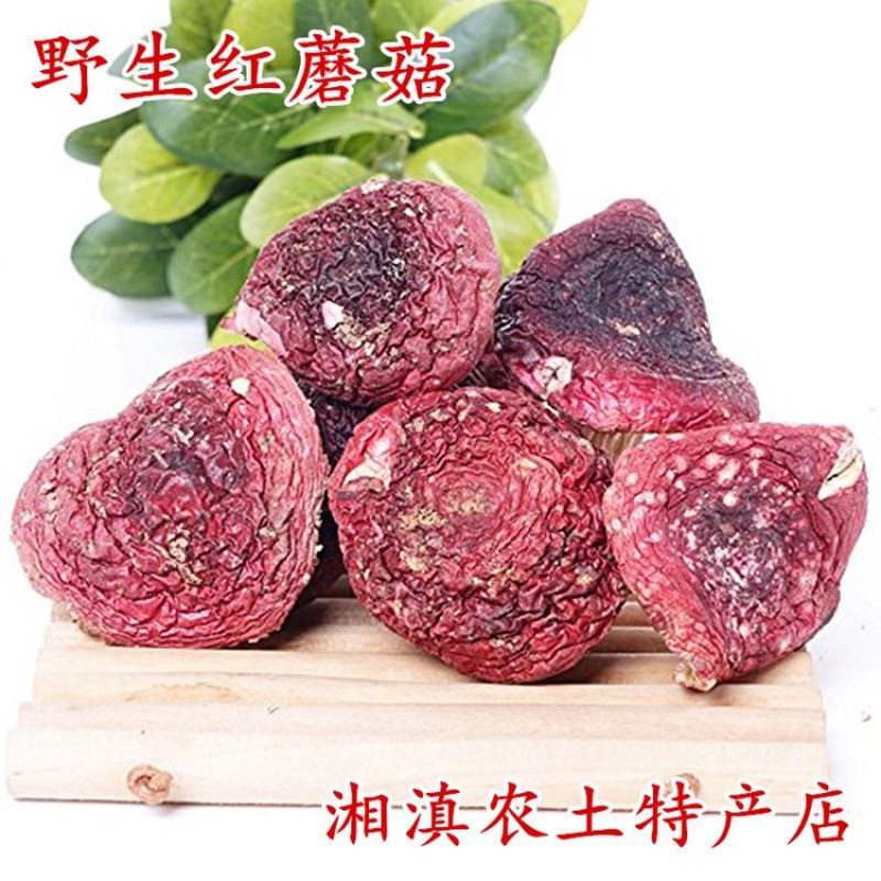 红菇干货未开伞天然红椎菇农家自晒红蘑菇佐餐食用菌包邮