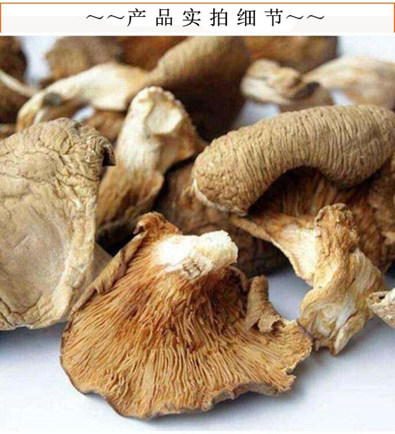 天然寒菌500g袋装雁来蕈农家自晒松乳菇食用雁鹅菌谷熟菌