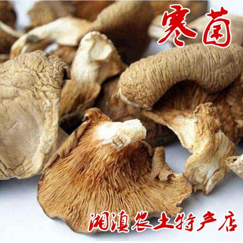 天然寒菌500g袋装雁来蕈农家自晒松乳菇食用雁鹅菌谷熟菌