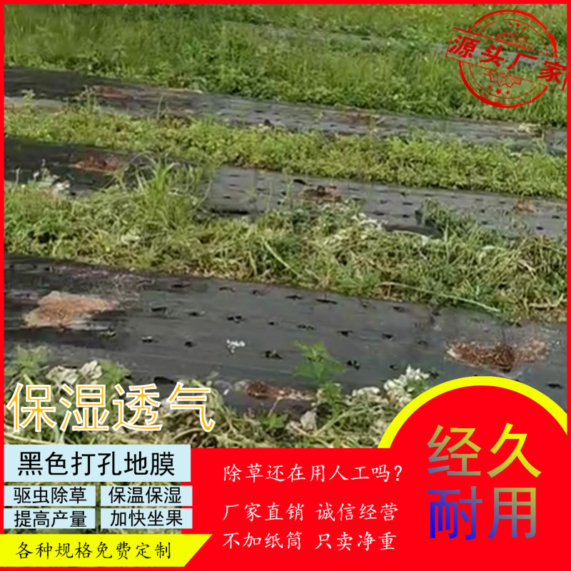 黑色打孔地膜-辣椒种植-打孔膜专业生产商-优良品质