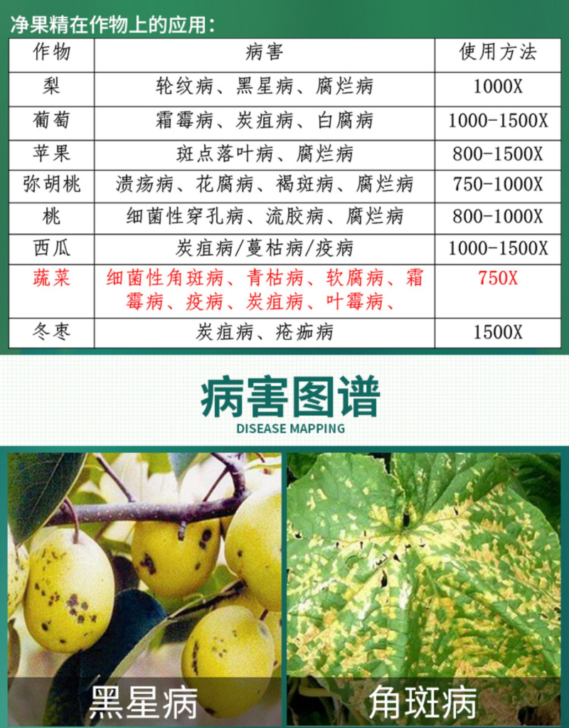 喹啉铜黄瓜霜霉病角斑病溃疡病马铃薯细菌性杀菌剂