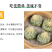 古昕供应链薄皮素包子素馅营养早餐商用加热即食整件批发