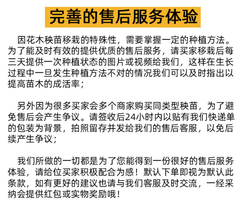 嫁接日本太秋甜柿苗国内的大秋柿子树苗保证品种纯正