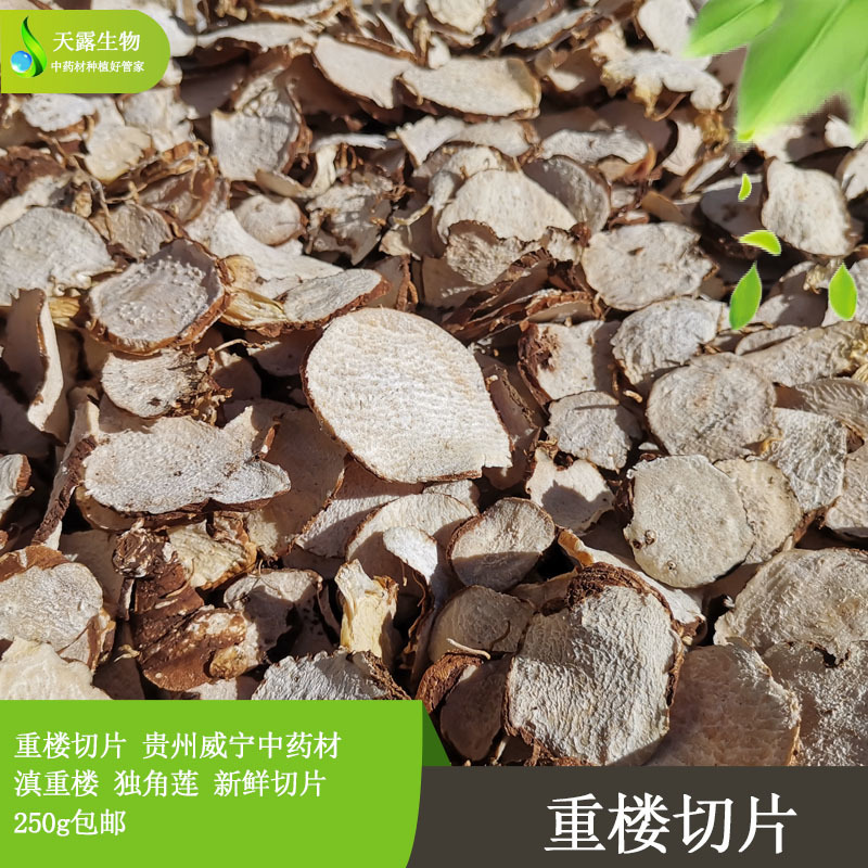 重楼切片威宁仿野生原生种植新型农业中药材
