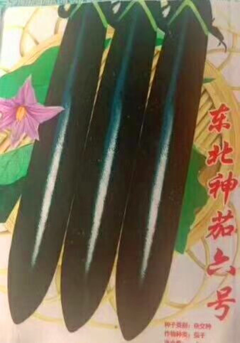 紫红长茄种苗烧烤茄子苗嫁接长茄种苗代育紫黑长茄子苗