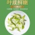 碧螺春/茉莉花茶