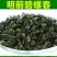 碧螺春/茉莉花茶