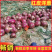 云南，建水县精品红皮洋葱，品质保障产地直销，量大从优