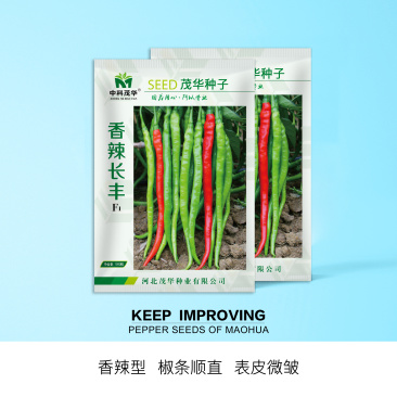 中科茂华蔬菜种子香辣长丰辣椒种子长线椒种子杂交一代条椒干