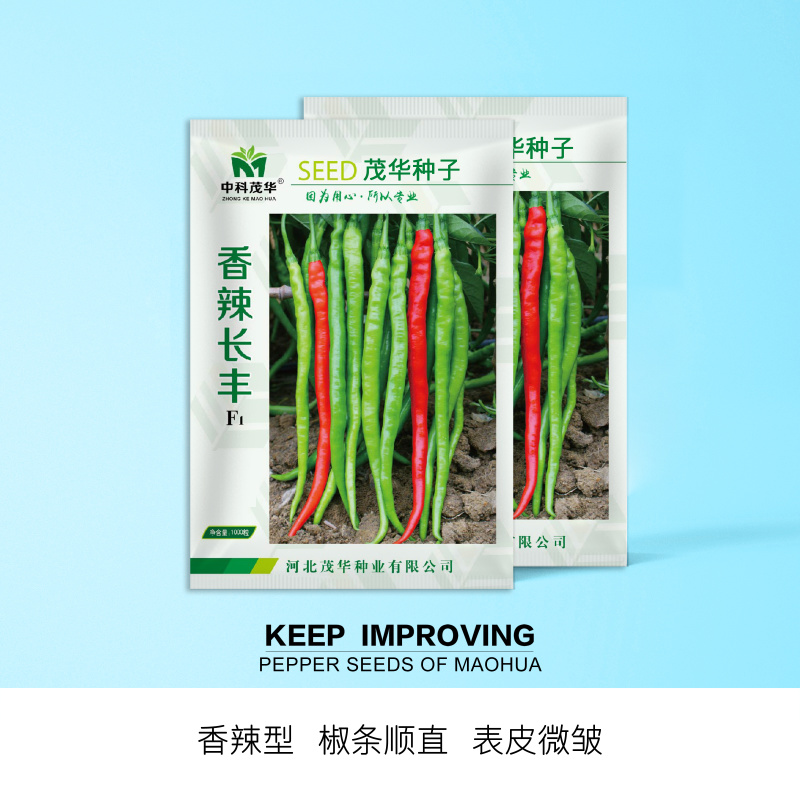 中科茂华蔬菜种子香辣长丰辣椒种子长线椒种子杂交一代条椒干