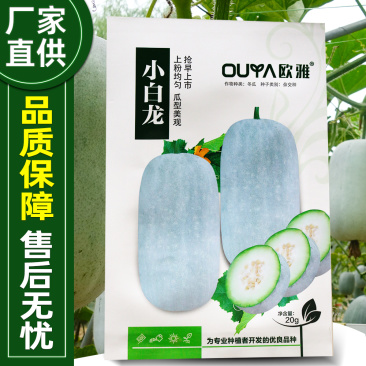 小白龙早熟水冬瓜种子抢早上市蜡粉均匀耐运输耐湿热抗逆