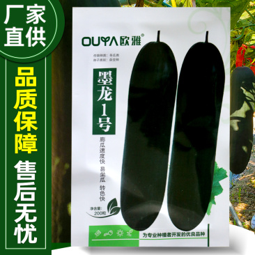 墨龙1号黑皮冬瓜种子绿皮大冬瓜膨瓜速度快耐储耐运