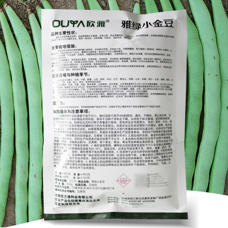 雅绿小金豆架豆种子500g荚条扁圆偏厚头尾均匀一致肉质鲜