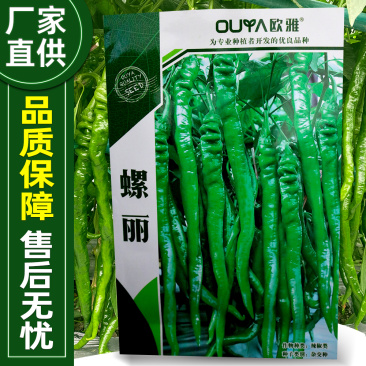 早熟螺丝线椒种子青果绿色膨果快上下层果实一致性好
