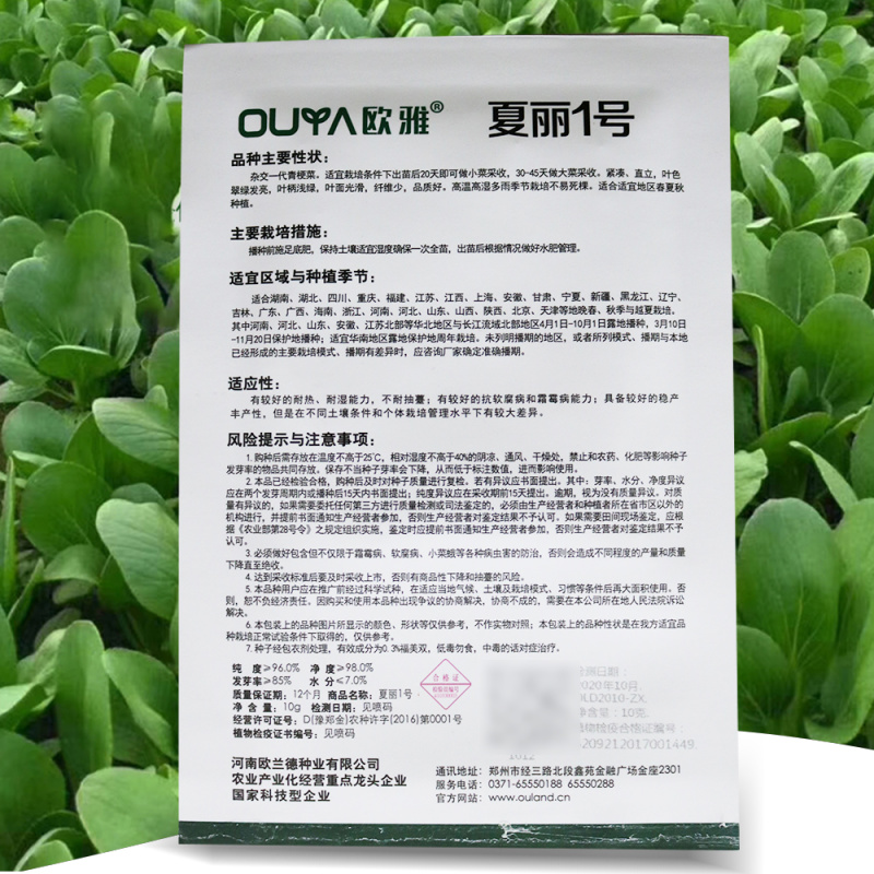 四季上海青种子青梗菜种子籽耐热耐寒青菜鸡毛菜油菜蔬菜种子