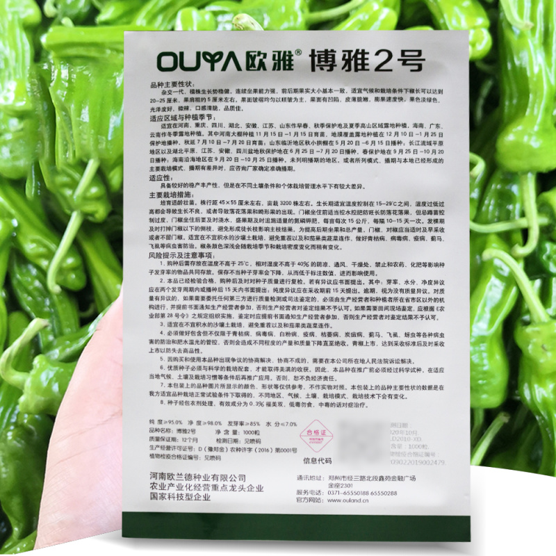 博雅2号薄皮辣椒种子皮薄脆嫩淡绿色微辣口感清脆