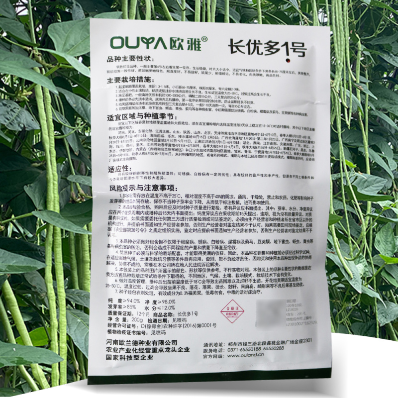 豇豆种子早熟荚条整齐前后期一致性好荚条嫩绿不鼓籽鼠尾少