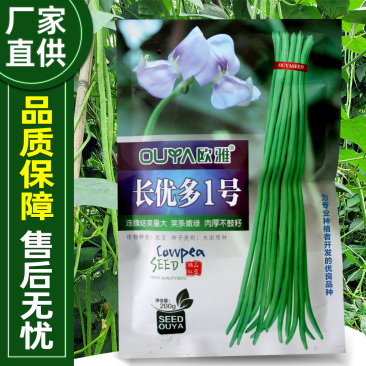 豇豆种子早熟荚条整齐前后期一致性好荚条嫩绿不鼓籽鼠尾少