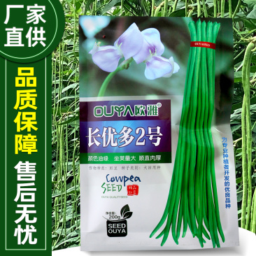 豇豆种子双荚率高不易早衰荚条翠绿不鼓籽纤维少不易老化