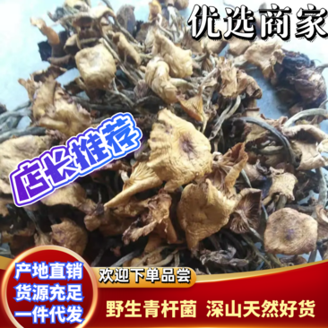 四川青川特产野生青冈菌青杆菌茶树菇深山天然好货