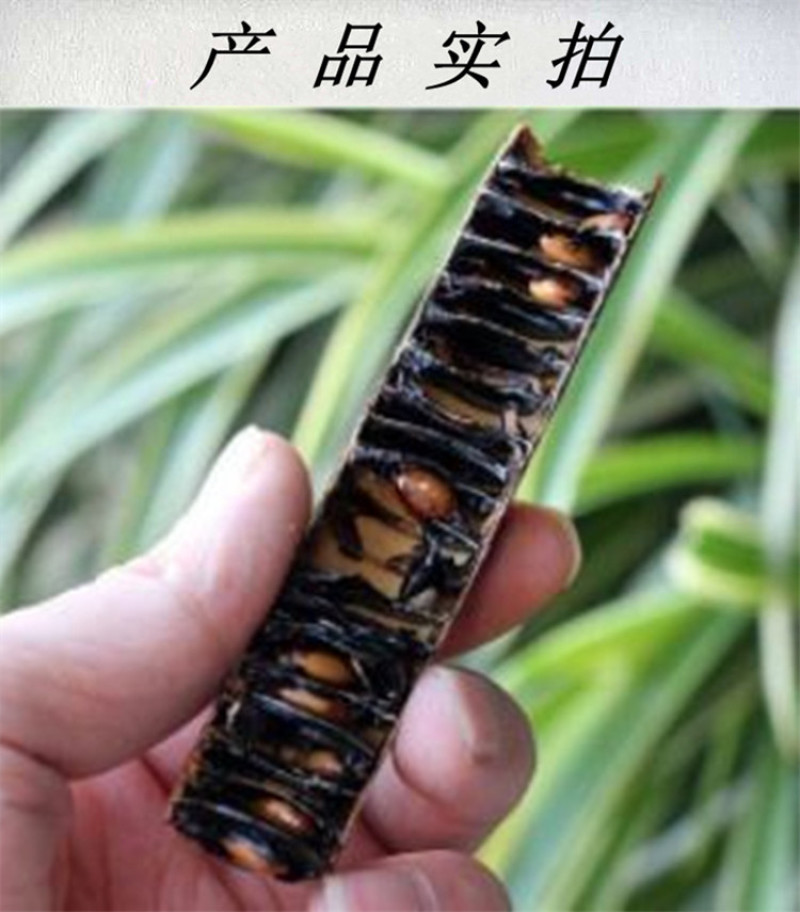 神奇大解缅甸进口便秘果天然随便果500g袋装男女通用包邮