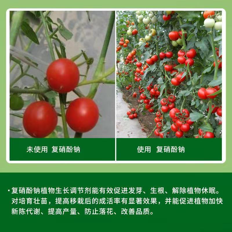 爱多收复硝酚钠花果上色促生根保花保果植物解药害