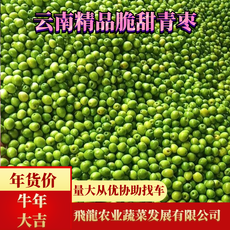 【现摘现发】云南青枣小青枣甜翠新鲜水果青蜜枣可视频看货