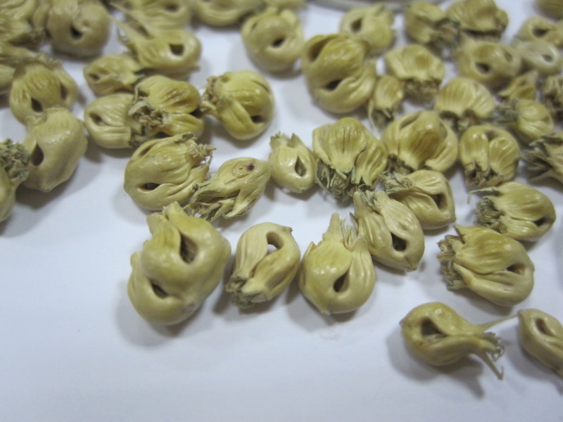 野牛草耐贫瘠，生命力旺盛，低养护种子供应中