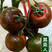 【精品】黑番茄种子黑美人紫黑色黄色大番茄边贸出口精品