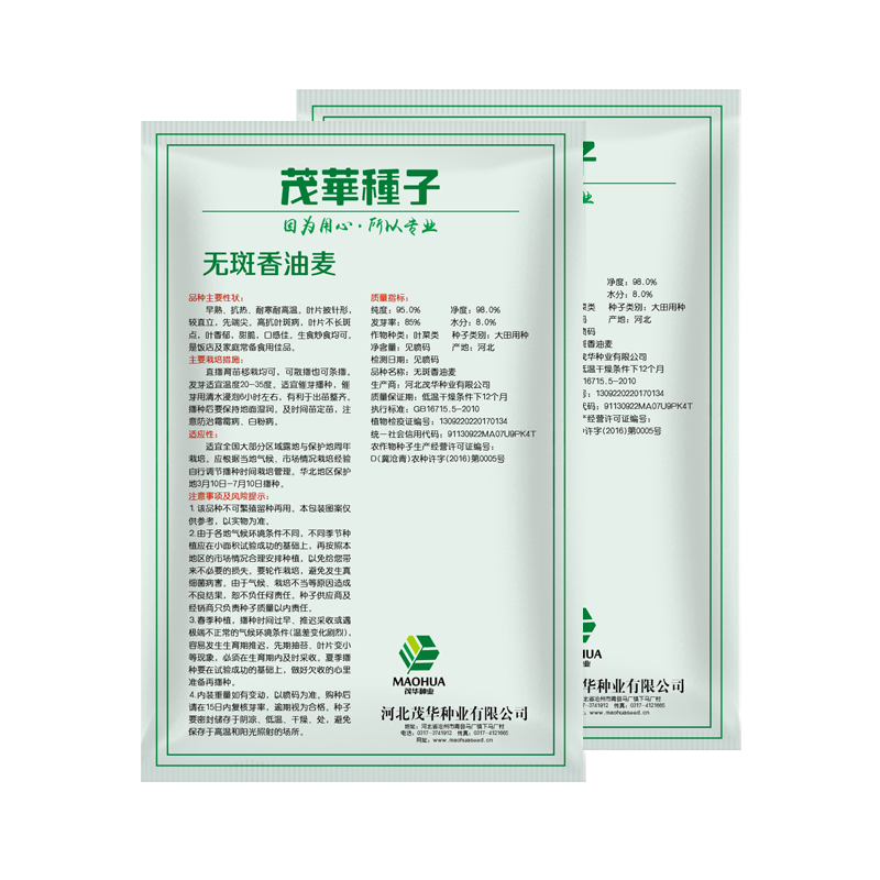 中科茂华蔬菜种子油麦菜生菜种子美利坚亮剑类型油麦菜种子
