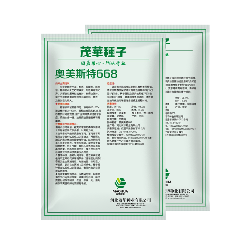 中科茂华蔬菜种子奥美斯特668抗热生菜种子耐热越夏生菜