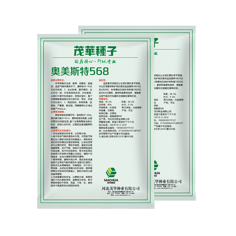 中科茂华蔬菜种子奥美斯特568大速生菜种子大叶深绿色耐寒